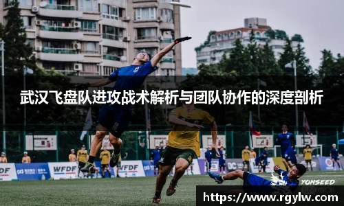 完美体育app下载安装